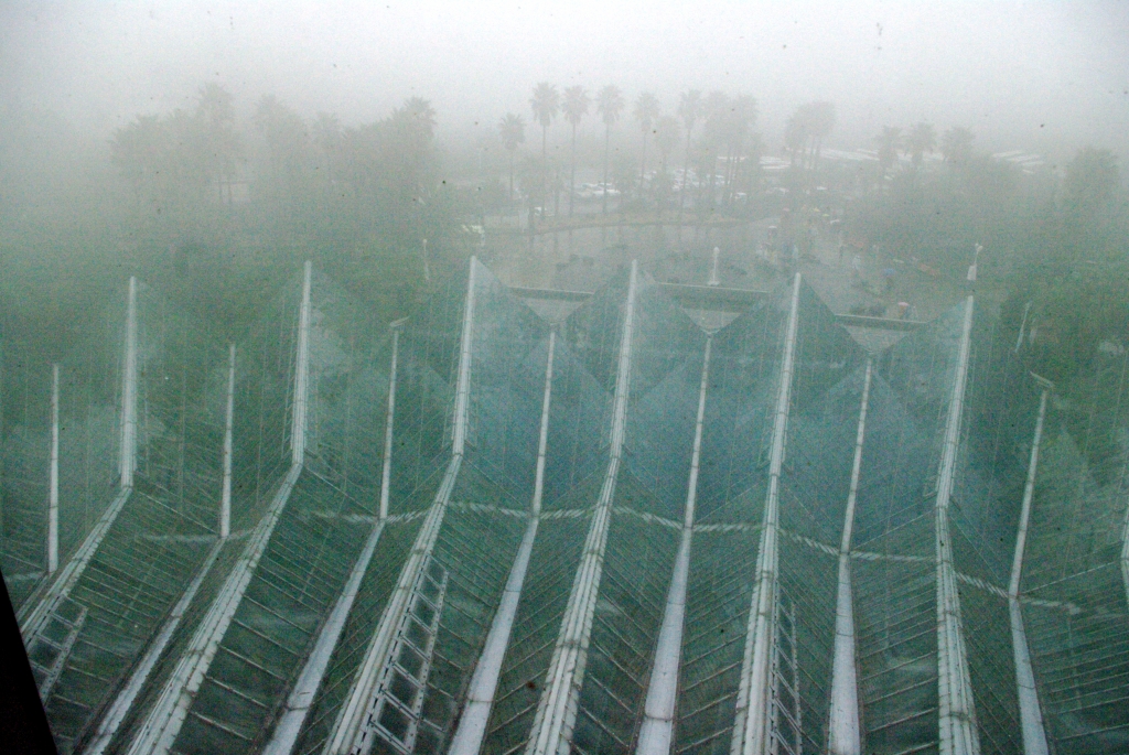 На обзорной площадке ботанического сада Ёмиджи во время